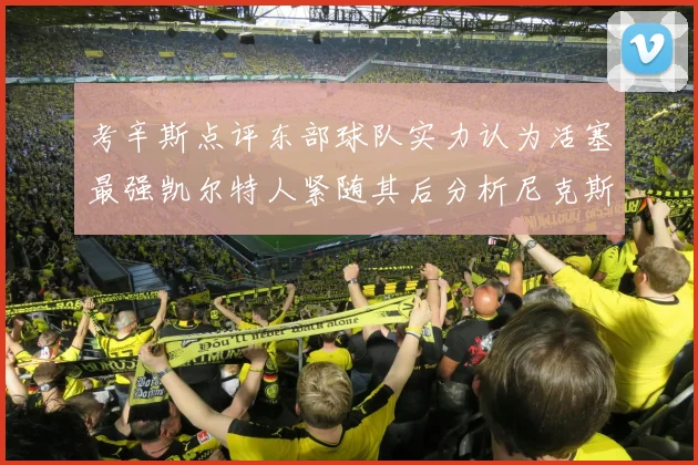 考辛斯点评东部球队实力认为活塞最强凯尔特人紧随其后分析尼克斯不足之处
