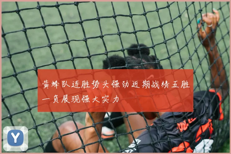 黄蜂队连胜势头强劲近期战绩五胜一负展现强大实力