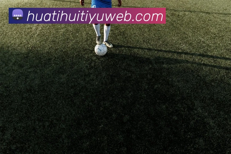 华体会体育平台生态图